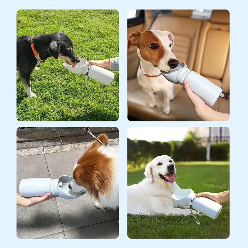 HydraPaws Portable Bottle: Folding Pet Water Dispenser