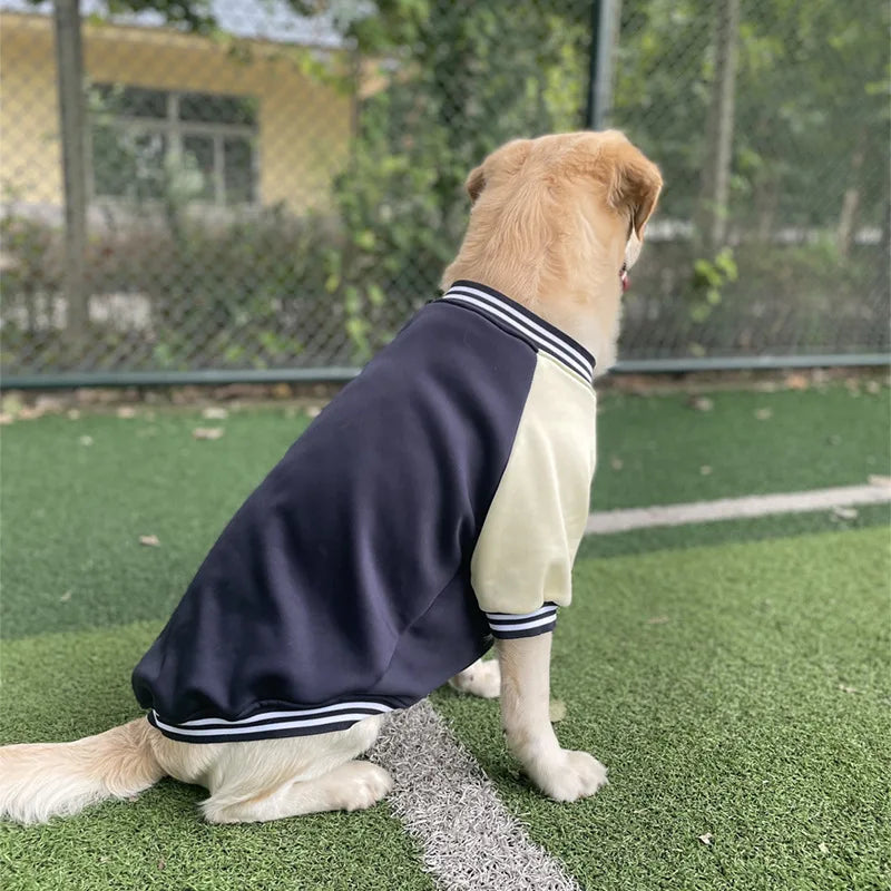 PawLeague Varsity Jacket: Sporty Baseball Uniform for Dogs