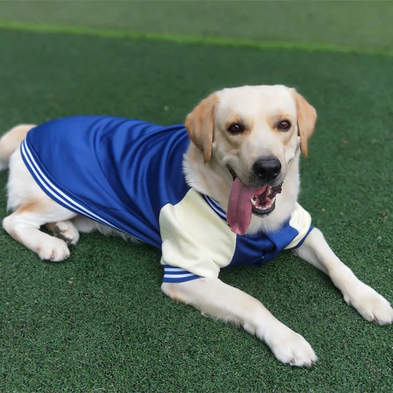 PawLeague Varsity Jacket: Sporty Baseball Uniform for Dogs