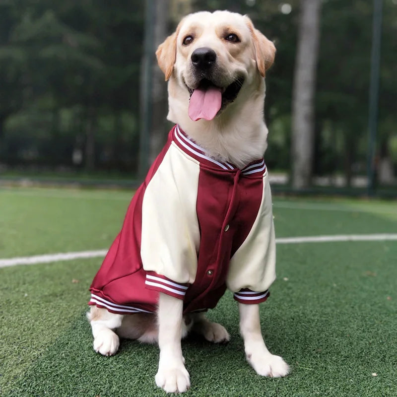PawLeague Varsity Jacket: Sporty Baseball Uniform for Dogs