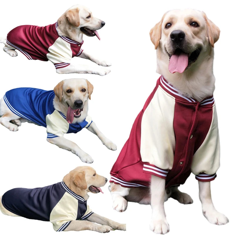 PawLeague Varsity Jacket: Sporty Baseball Uniform for Dogs