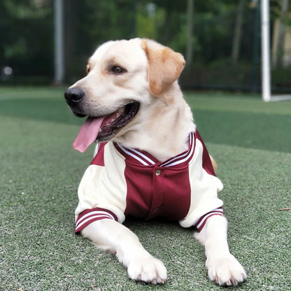 PawLeague Varsity Jacket: Sporty Baseball Uniform for Dogs