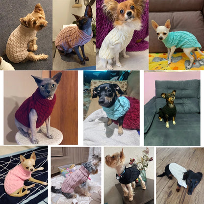 SnugPaws Turtleneck: Cozy Winter Sweater for Pets