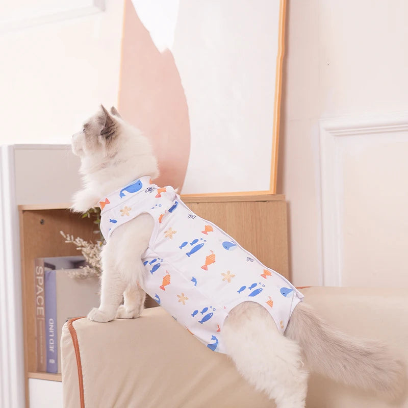 Traje de recuperação HealBuddy: roupa protetora para animais de estimação