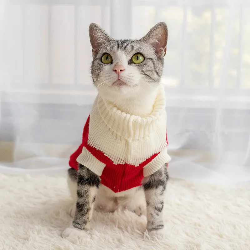 CozyPaws Knitwear: Suéter quente de inverno para animais de estimação