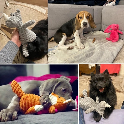 Burro SqueakyBuddy: Brinquedo de pelúcia divertido para cães pequenos