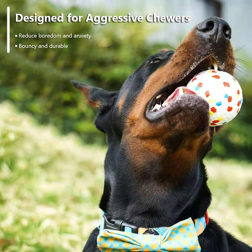 BounceBuddy: High-Elastic Chew Ball for Pets