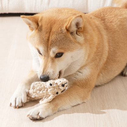 PupChomp Rope: Natural Chew & Dental Toy for Dogs