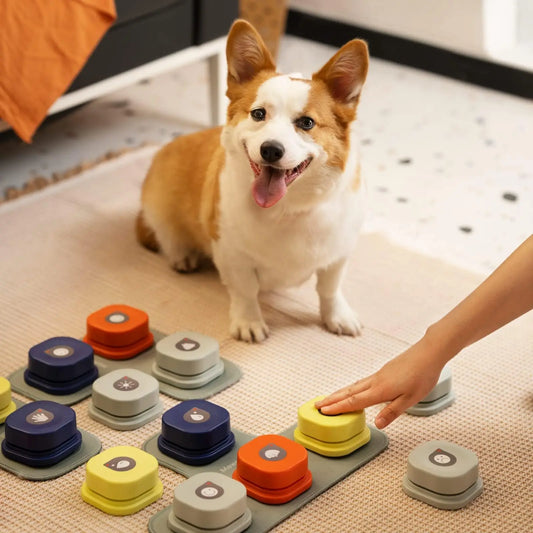 TalkTails: Interactive Voice Training Button for Pets