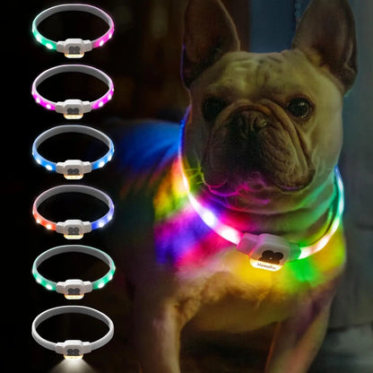 Collar LED GlowGuard: collar luminoso recargable por USB para perros