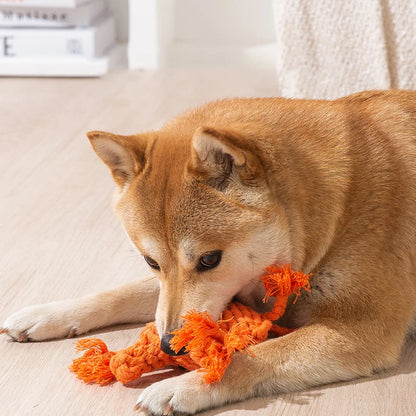 PupChomp Rope: Natural Chew & Dental Toy for Dogs